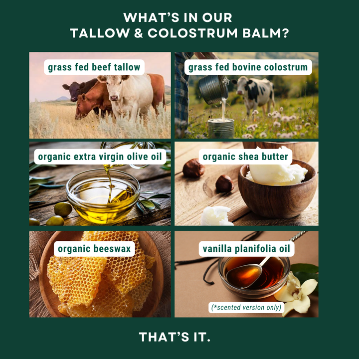 NEKTR Tallow & Colostrum Balm